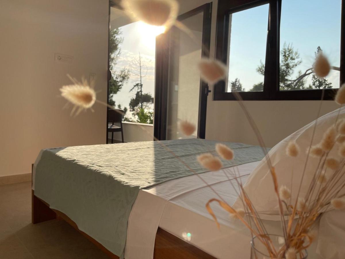 Zia Apartments Бар Екстер'єр фото